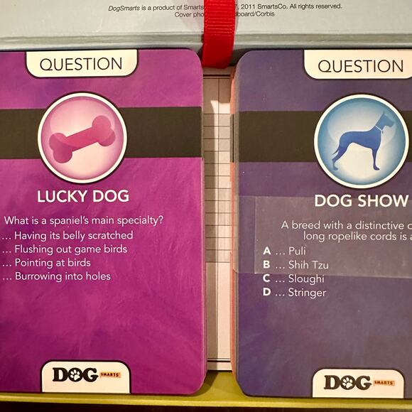 Doggy Game Fun! - Picture 10 of 10